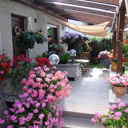 Appartement Studio Kremser Kranichfeld 外观 照片